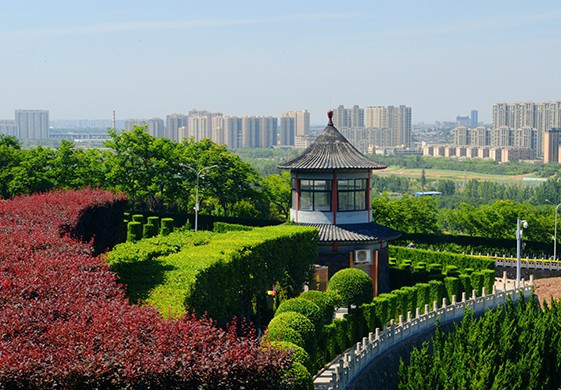 高橋墓園咋樣，好嗎，交通方便嗎？