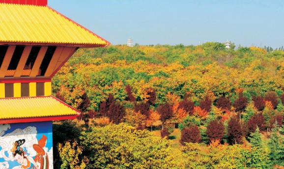 西安壽陽山墓園地址有幾個(gè)