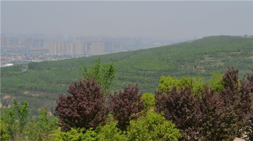 西安霸陵墓園在管理方面采取了哪些現(xiàn)代化措施？