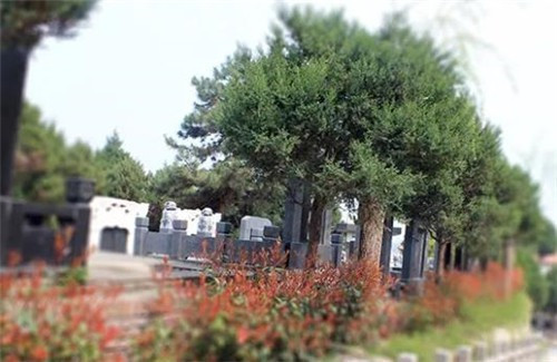 西安墓園在哪里-西安墓園：墓地在何方？