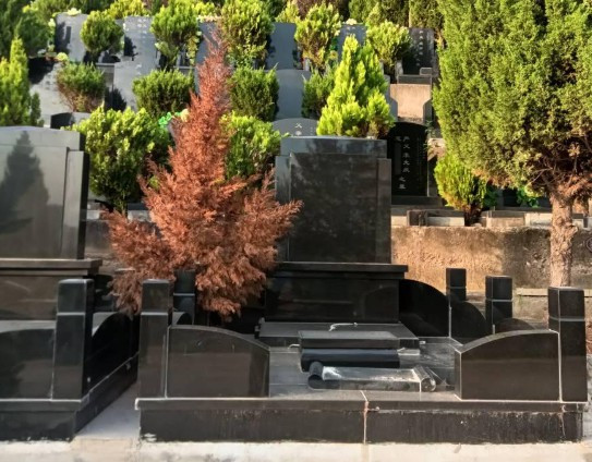 西安公墓年后需不需要繳費，具體怎么收費？