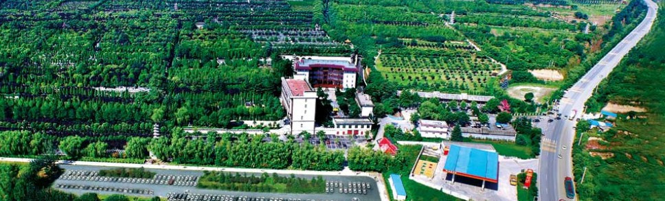 西安樹(shù)葬墓地|公墓|墓地
