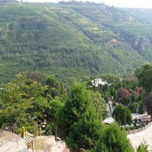 西安市壽陽山墓園價(jià)格,西安市壽陽山墓園價(jià)格