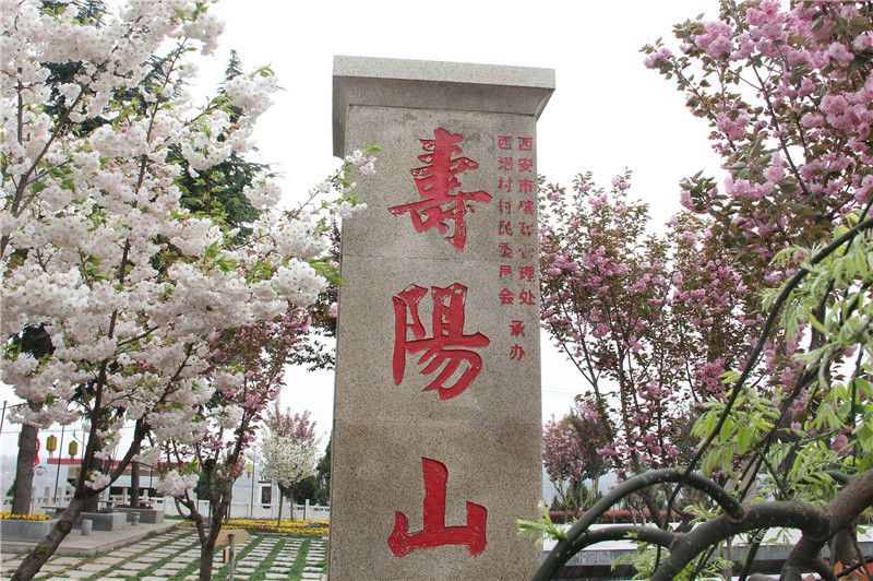 霸陵墓園和壽陽山墓園哪個(gè)好 電話