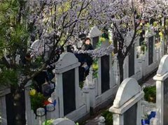 西安公墓墓地價(jià)格表_西安市墓地價(jià)格表