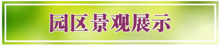 西安鯨魚溝壽陽山圖片，壽陽山公墓