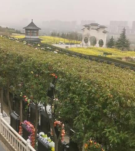 西安霸陵新區(qū)寶玉園，視野開闊，綠樹成蔭！