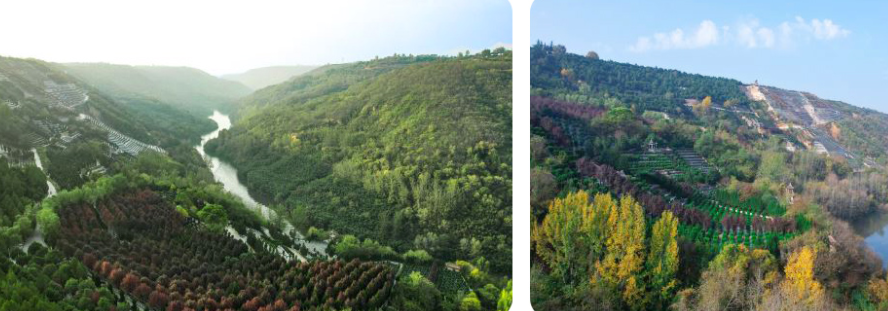 西安壽陽山骨灰墓園地處鯨魚溝中段，依山傍水，地勢高爽