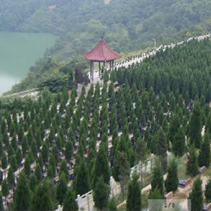 西安高橋墓園怎么樣？價格大概多少